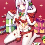 クリスマス　シグニット